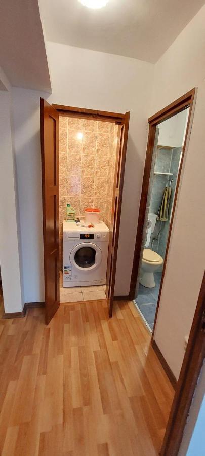 Bubu Apartament 彼得罗沙尼 外观 照片