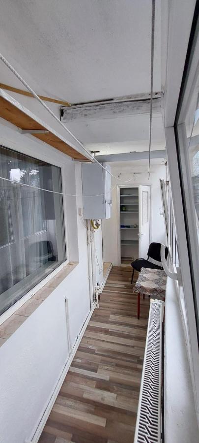 Bubu Apartament 彼得罗沙尼 外观 照片