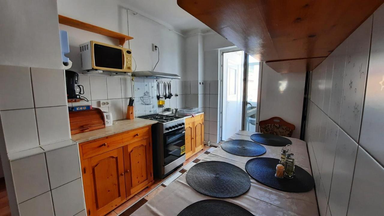 Bubu Apartament 彼得罗沙尼 外观 照片