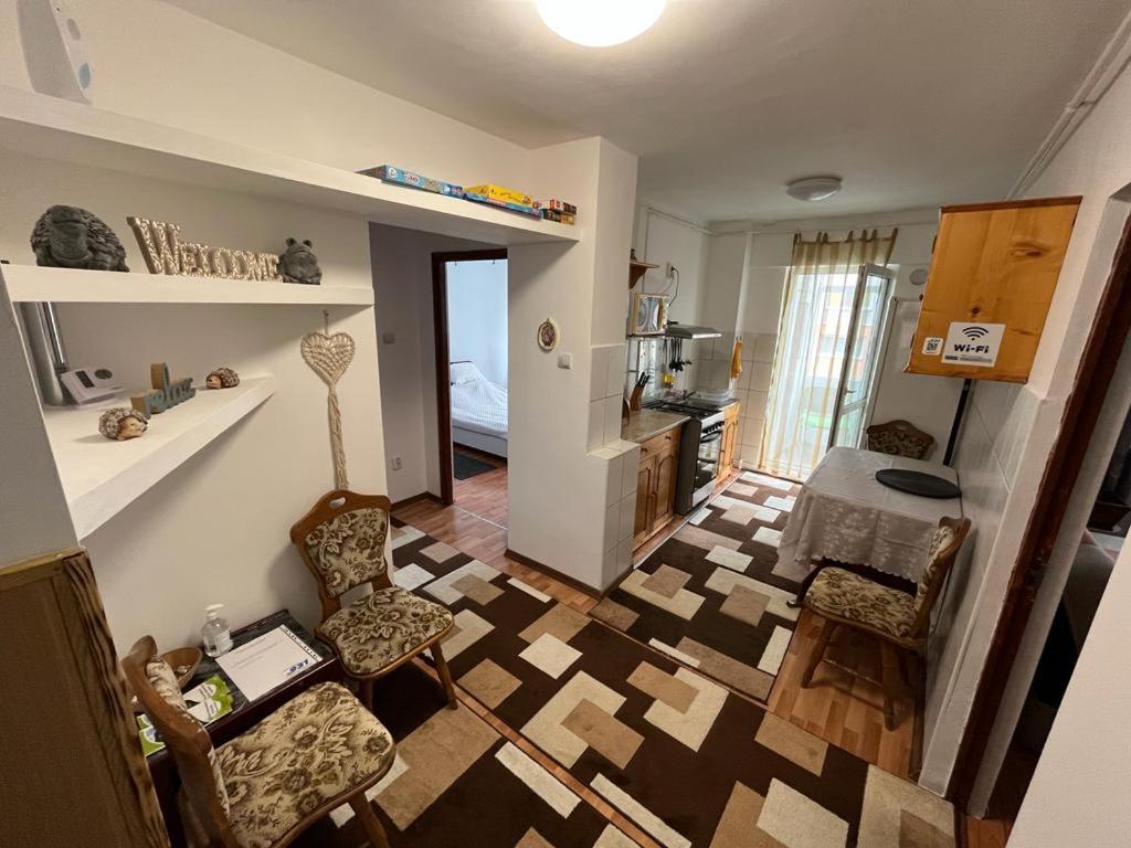 Bubu Apartament 彼得罗沙尼 外观 照片