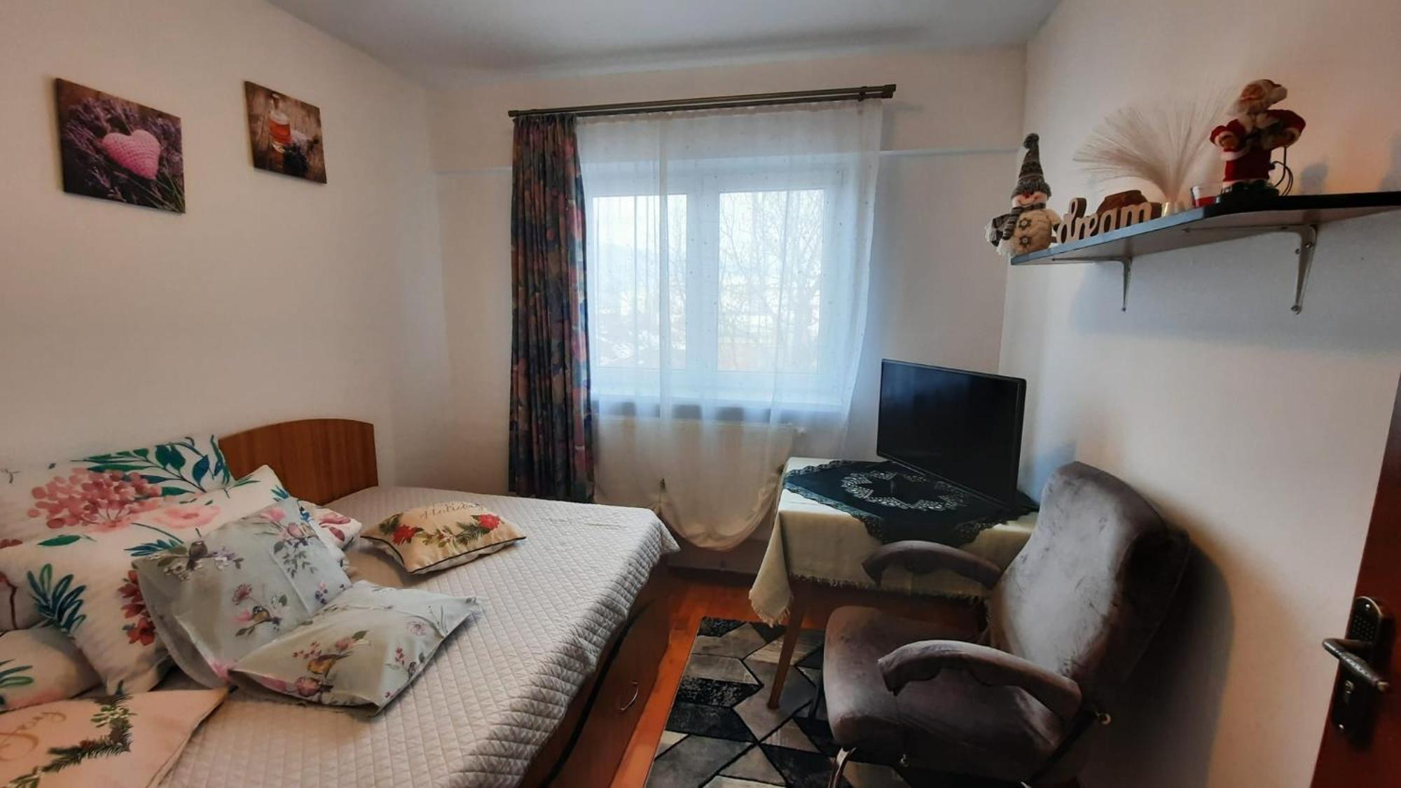 Bubu Apartament 彼得罗沙尼 外观 照片