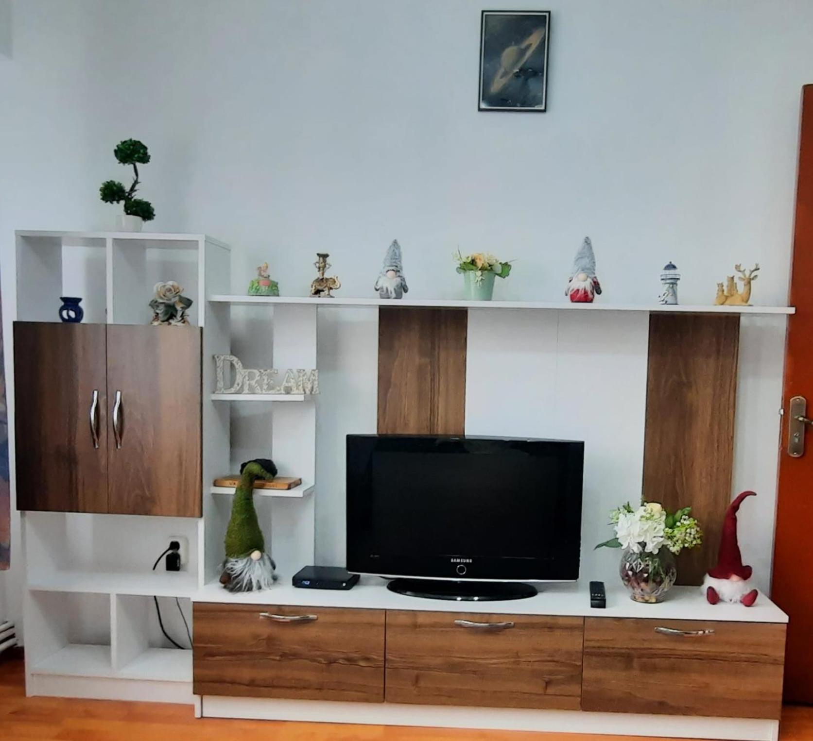 Bubu Apartament 彼得罗沙尼 外观 照片
