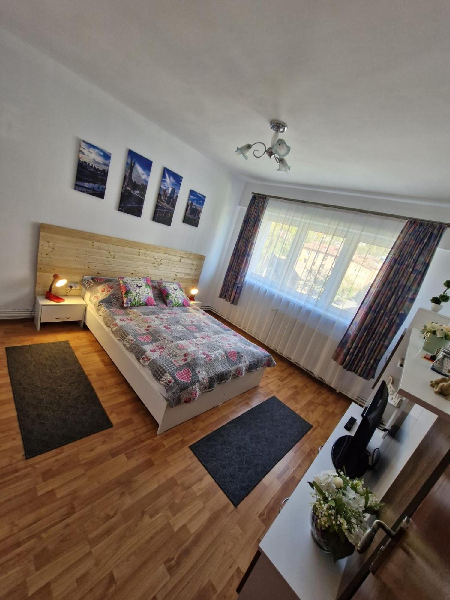 Bubu Apartament 彼得罗沙尼 外观 照片