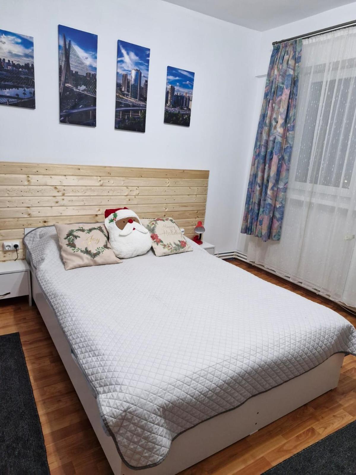 Bubu Apartament 彼得罗沙尼 外观 照片