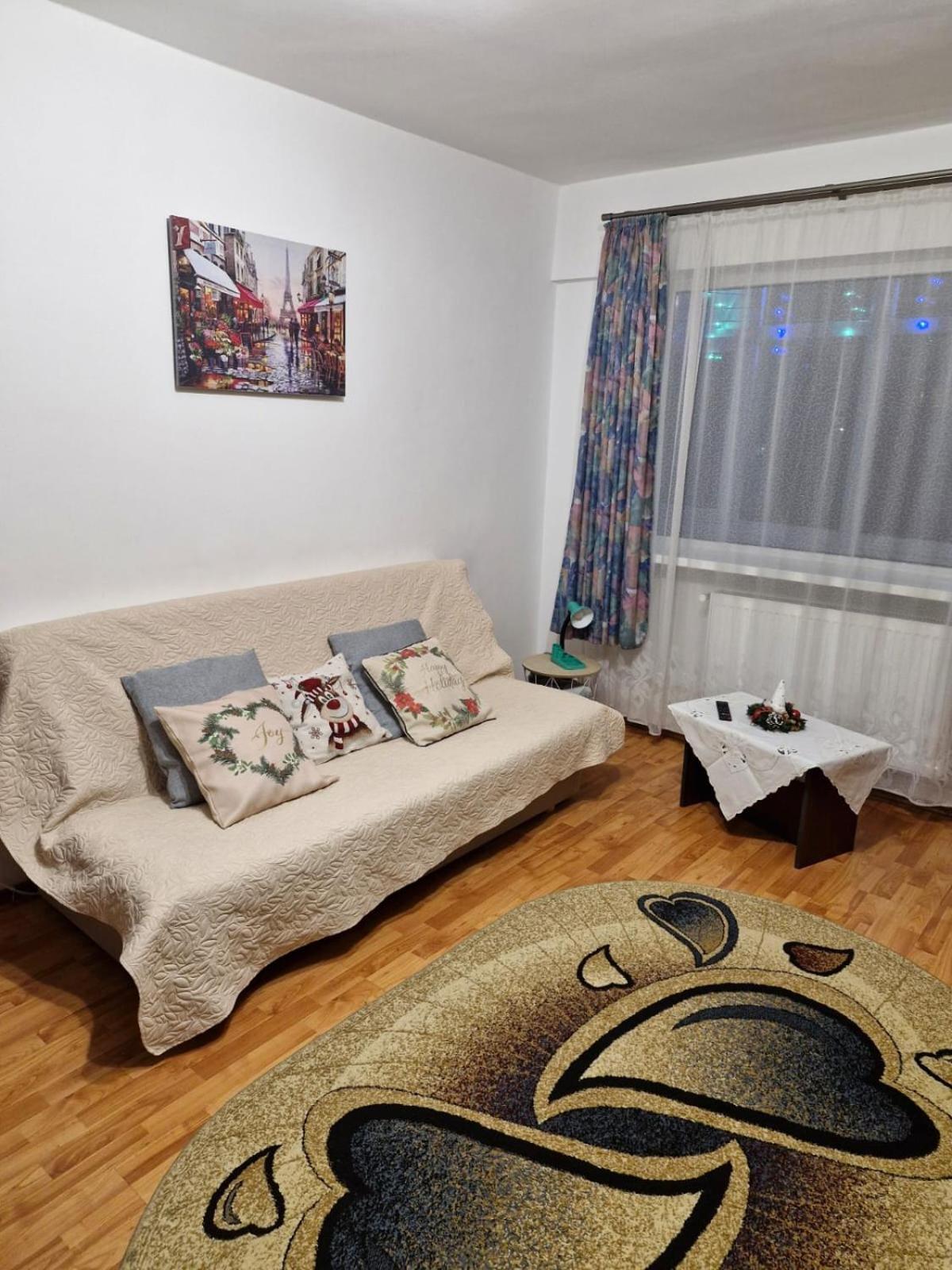 Bubu Apartament 彼得罗沙尼 外观 照片