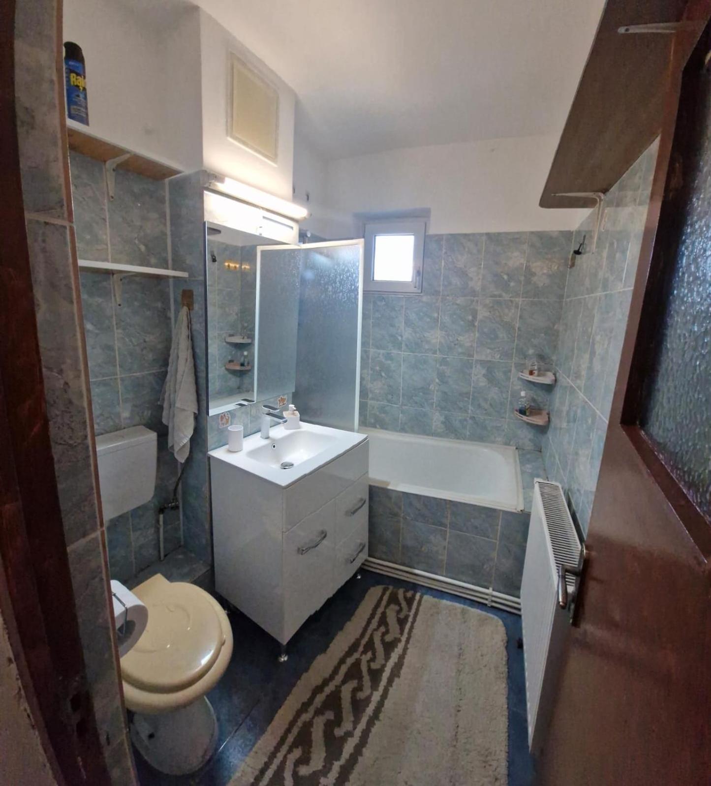 Bubu Apartament 彼得罗沙尼 外观 照片